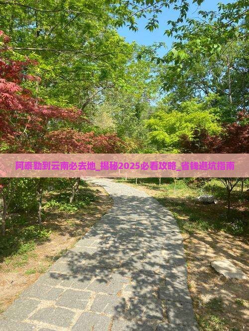 阿泰勒到云南必去地