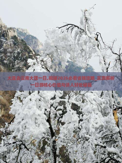 大连去云南大理一日