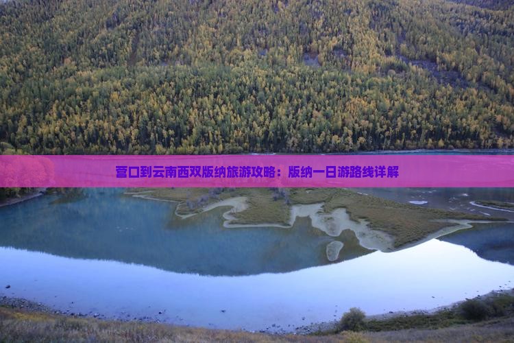 营口到云南西双版纳一日