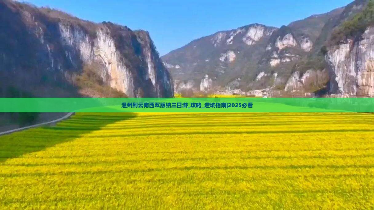 温州到云南西双版纳三日游