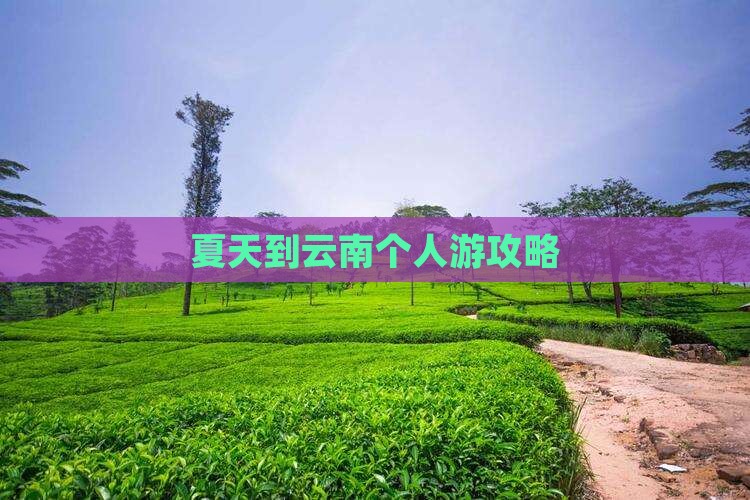夏天到云南个人游