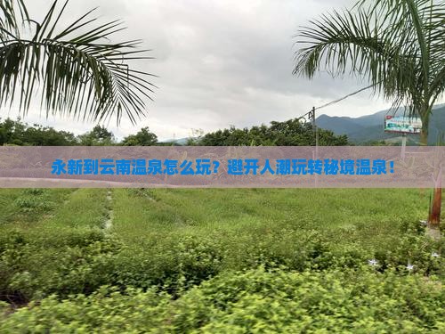 永新到云南温泉哪里玩