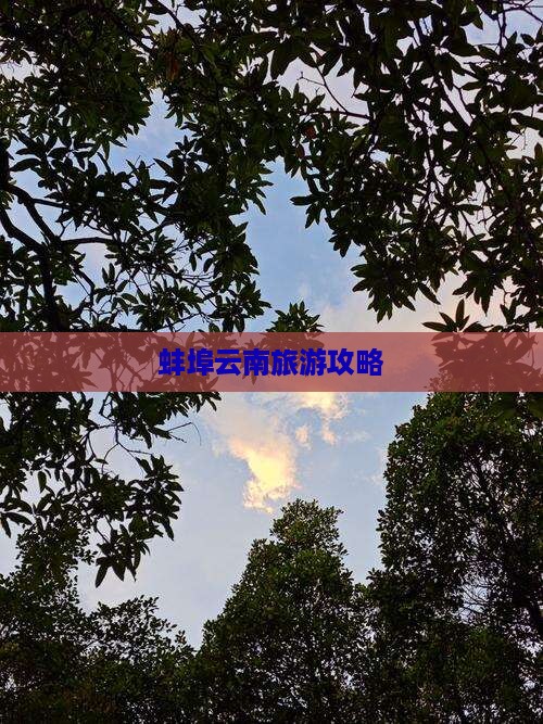 蚌埠去云南旅游