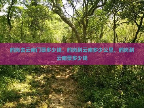 鹤岗去云南门票