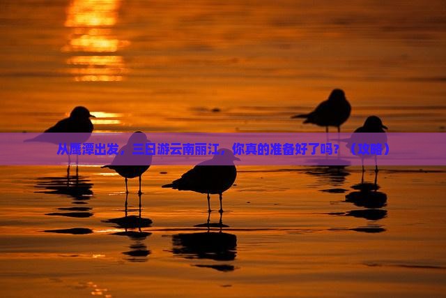 鹰潭去云南丽江三日游