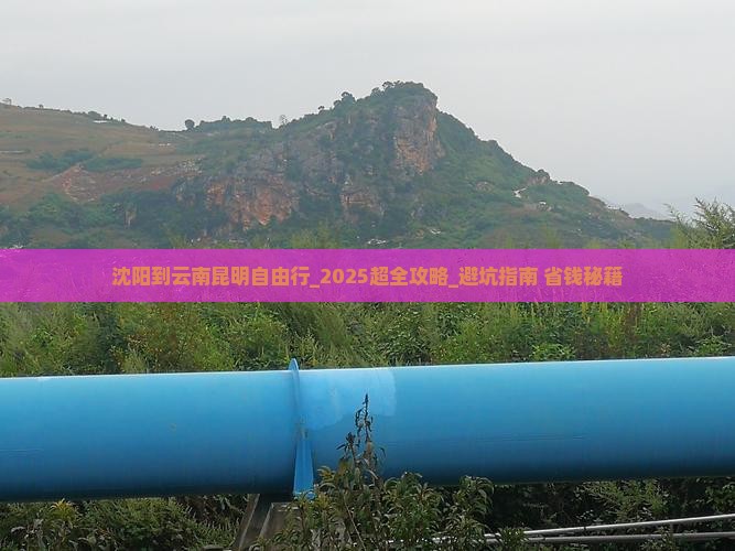 沈阳到云南昆明自由行