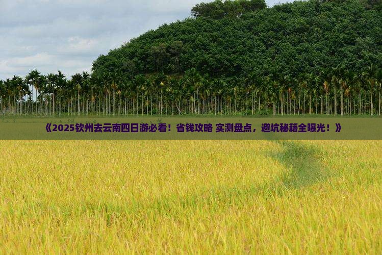 钦州去云南四日游