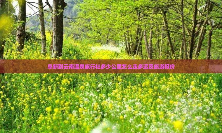 阜新到云南温泉旅行社