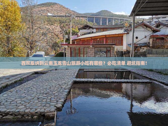 西双版纳到云南玉龙雪山旅游小吃