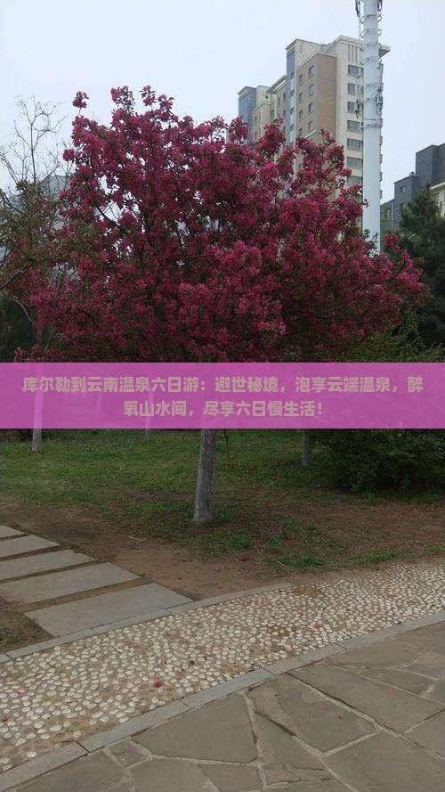 库尔勒到云南温泉六日游