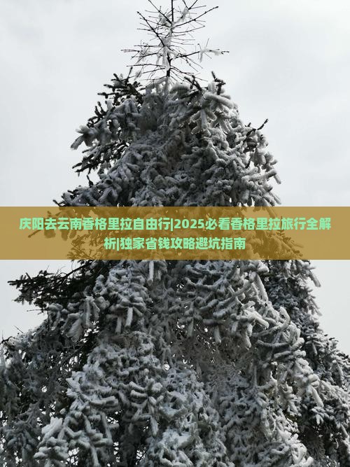 庆阳去云南香格里拉自由行