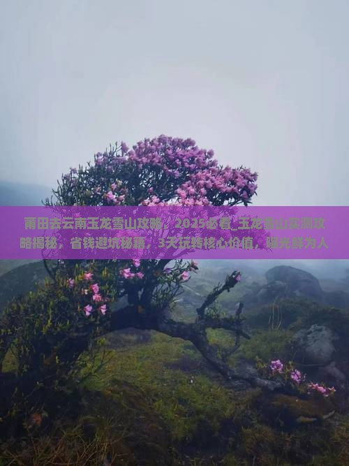 莆田去云南玉龙雪山攻略