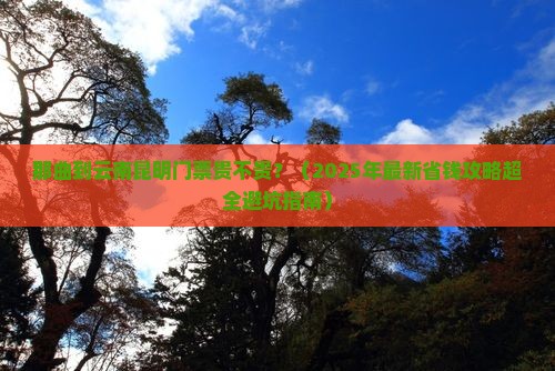 那曲去云南昆明门票
