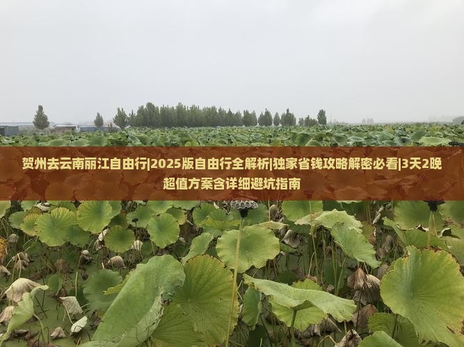 贺州去云南丽江自由行