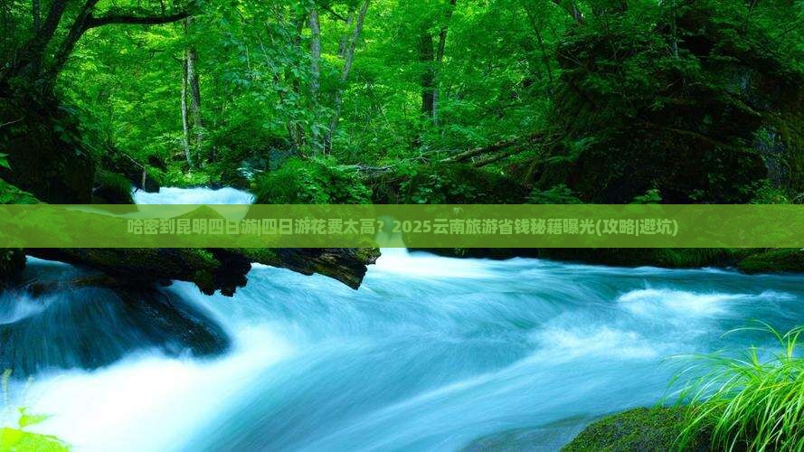 哈密到云南昆明四日游
