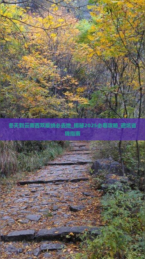 冬天到云南西双版纳必去地