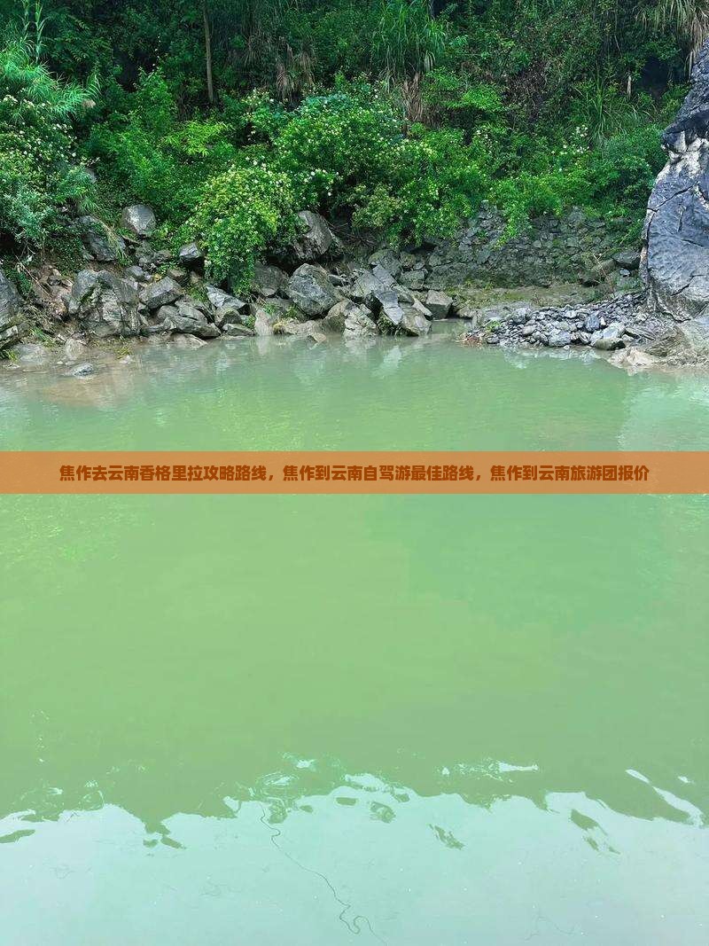 焦作去云南香格里拉攻略