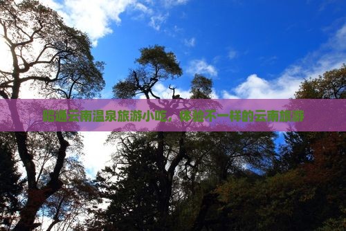 昭通去云南温泉旅游小吃