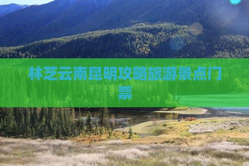 林芝去云南昆明门票