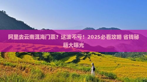 阿里去云南洱海门票
