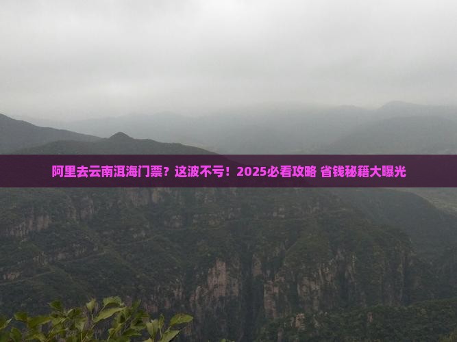 阿里去云南洱海门票