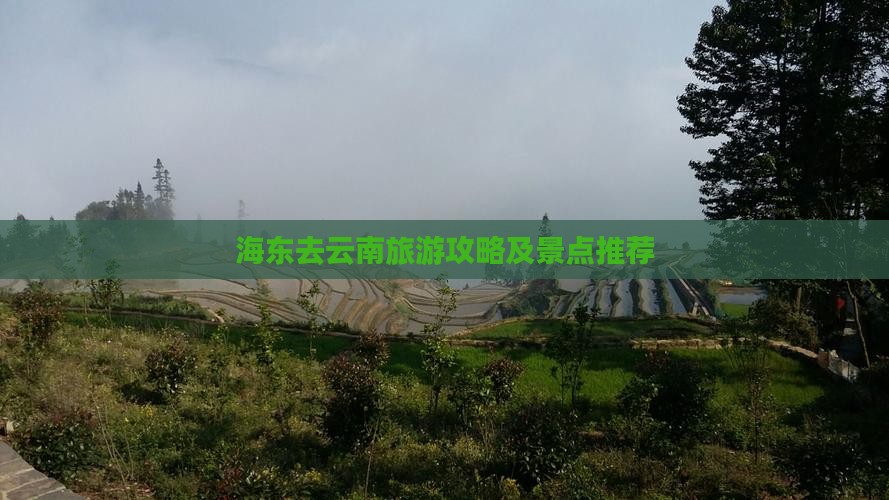 海东去云南攻略 海东去云南攻略