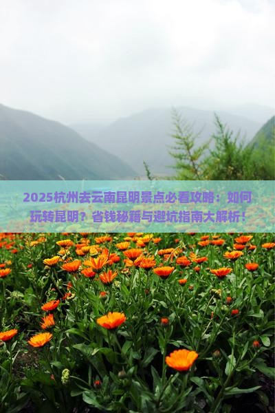 杭州去云南昆明景点