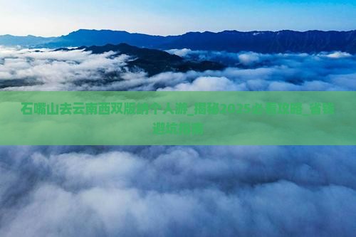 石嘴山去云南西双版纳个人游