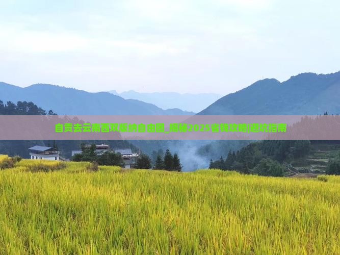 自贡去云南西双版纳自由团