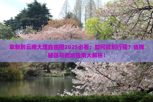 阜新到云南大理自由团