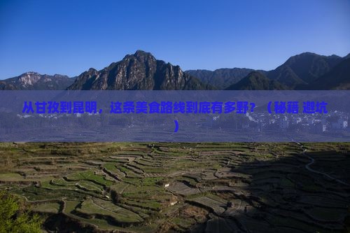 甘孜去云南昆明旅游小吃
