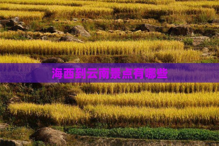 海西到云南景点 海西到云南景点
