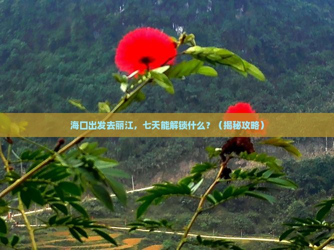 海口到云南丽江七日游