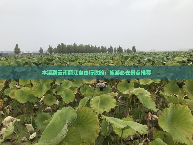 本溪到云南丽江自由行