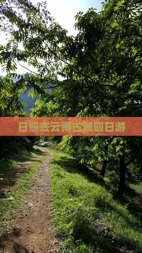 日照去云南古城四日游