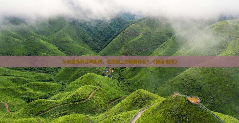 秦皇岛去云南西双版纳必去地