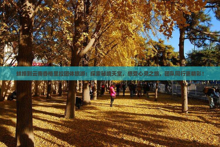 蚌埠到云南香格里拉团体旅游
