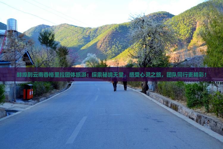 蚌埠到云南香格里拉团体旅游