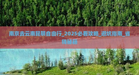 南京去云南昆明自由行