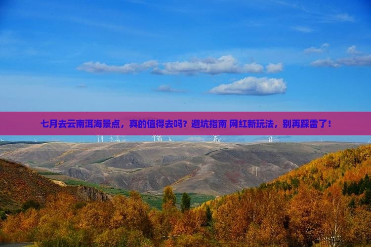 七月去云南洱海景点