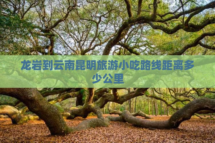 龙岩到云南昆明旅游小吃