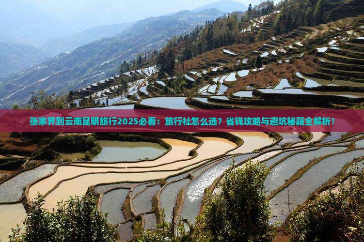 张家界到云南昆明旅行社