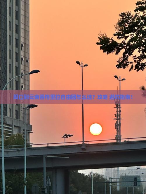 周口到云南香格里拉自由团