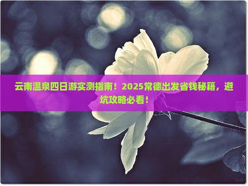 常德到云南温泉四日游