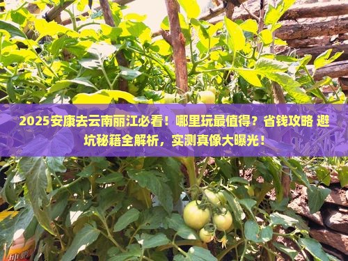 安康去云南丽江哪里玩