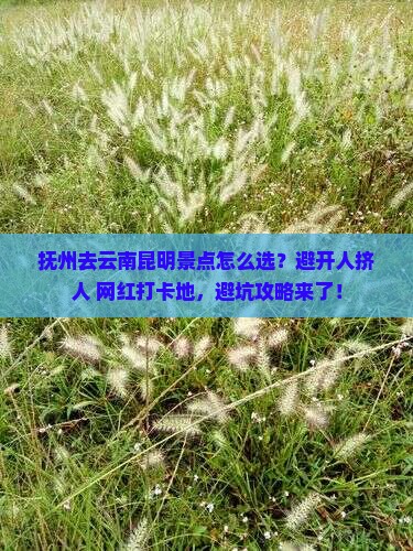 抚州去云南昆明景点