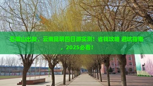石嘴山去云南昆明四日游