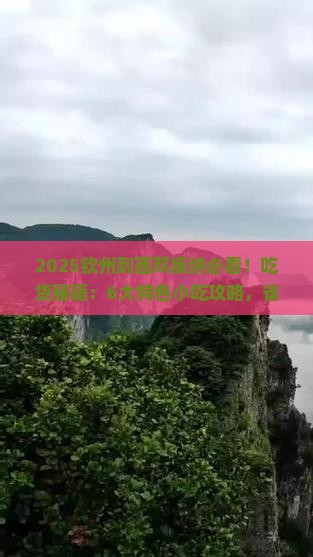 钦州到云南西双版纳旅游小吃