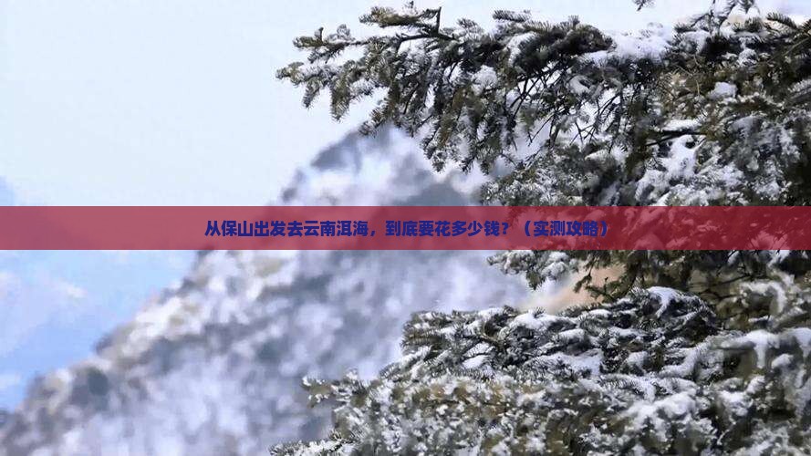 保山去云南洱海门票