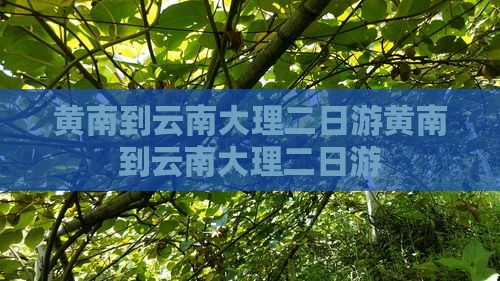 黄南到云南大理二日游